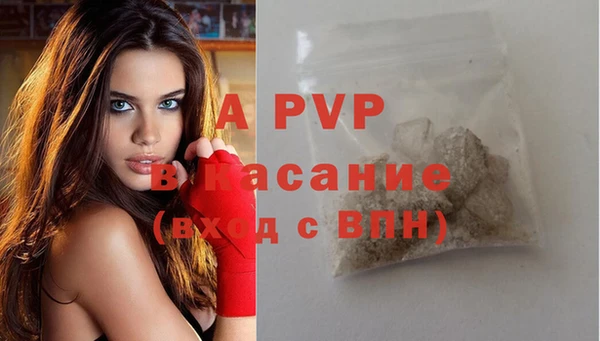 прущие грибы Гусиноозёрск