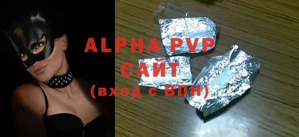 прущие грибы Гусиноозёрск