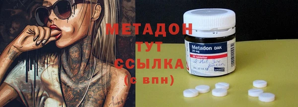 прущие грибы Гусиноозёрск