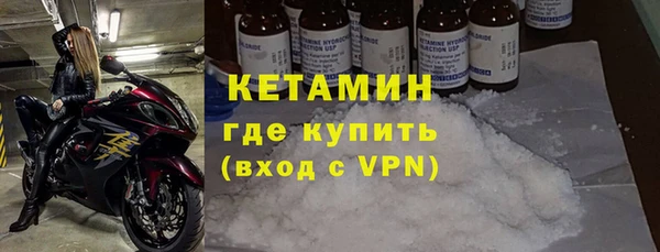 прущие грибы Гусиноозёрск