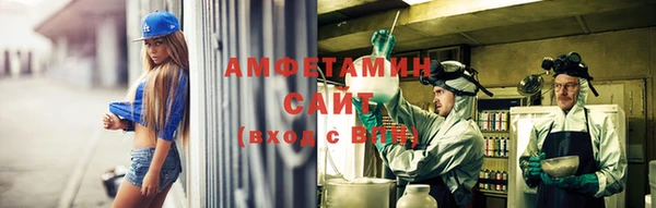 прущие грибы Гусиноозёрск
