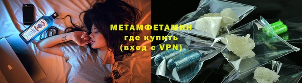 прущие грибы Гусиноозёрск