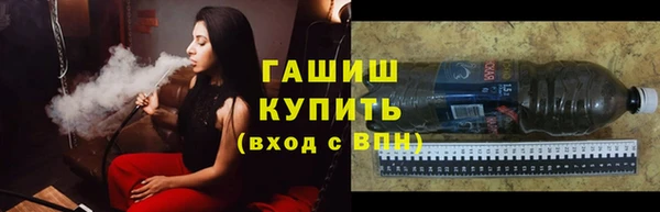 прущие грибы Гусиноозёрск