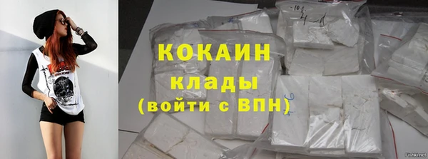 прущие грибы Гусиноозёрск