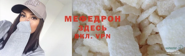 шишки Няндома