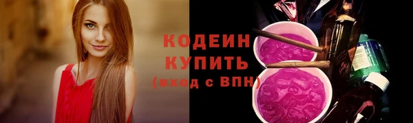 прущие грибы Гусиноозёрск