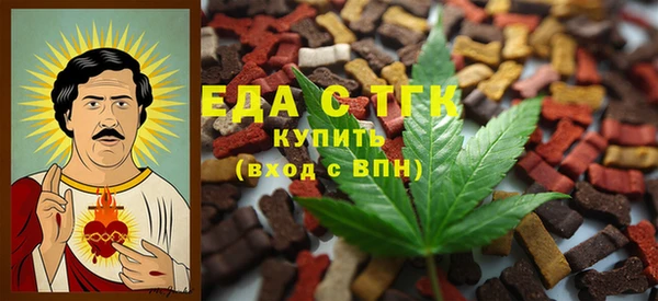 прущие грибы Гусиноозёрск