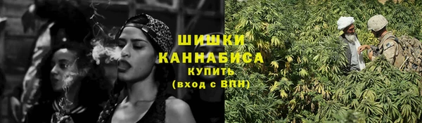прущие грибы Гусиноозёрск