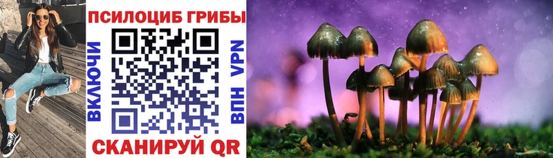 Купить  Козельск  Галлюциногенные грибы мухоморы 